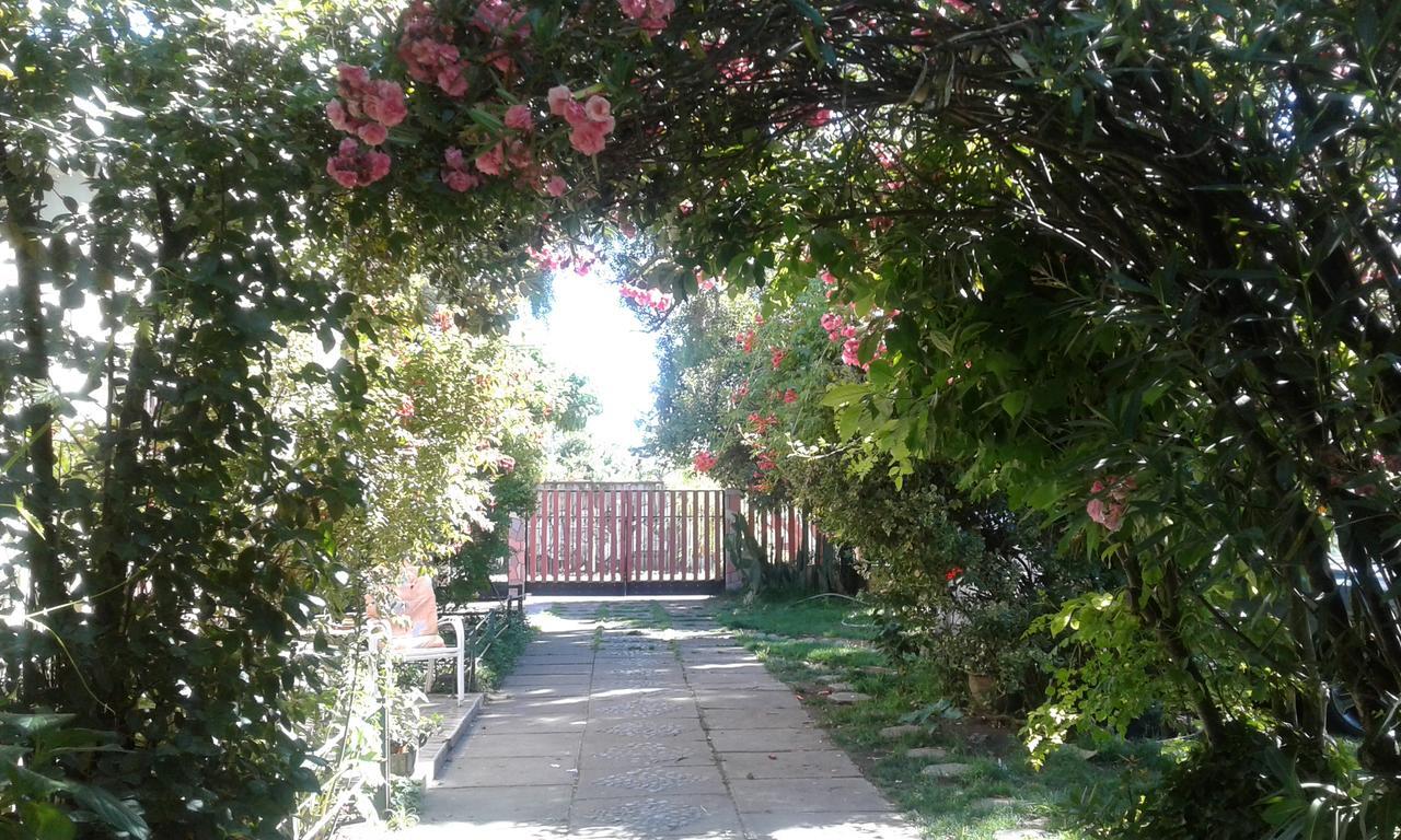 Puerta Del Sol Molina B&B Экстерьер фото
