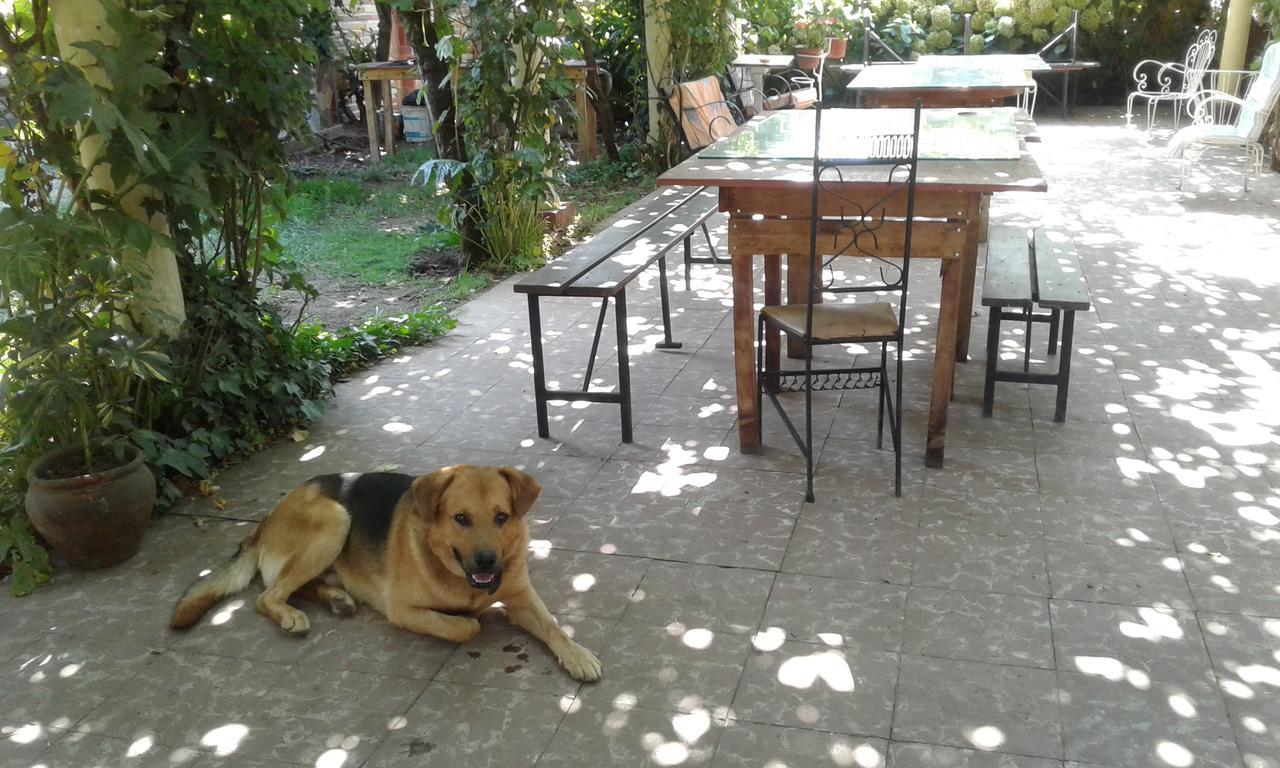Puerta Del Sol Molina B&B Экстерьер фото
